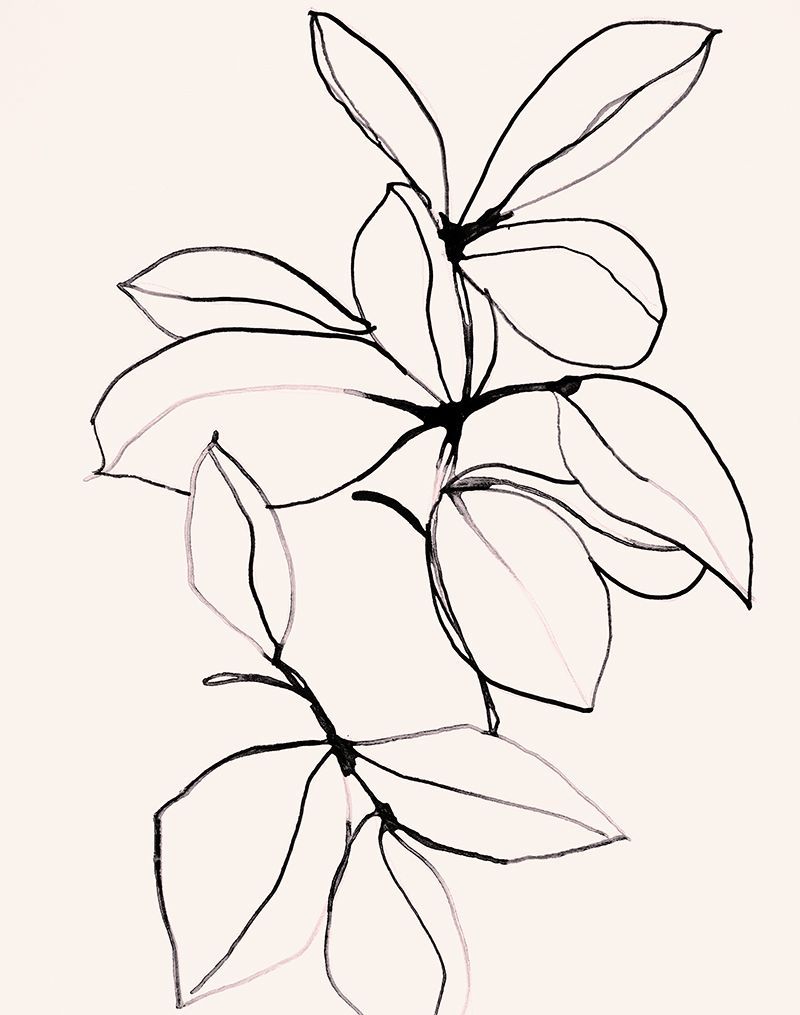 Foliage 0118 - Plant Art Print -   12 plants Illustration ink ideas