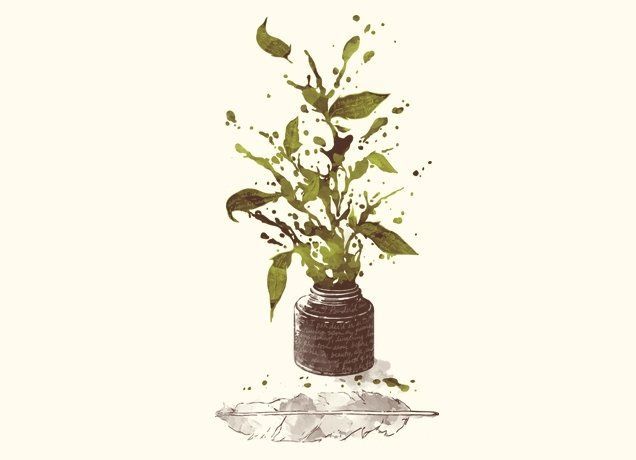 A Writer's Ink -   12 plants Illustration ink ideas