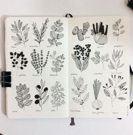 34+ Ideas Plants Illustration Ink For 2019 -   12 plants Illustration ink ideas