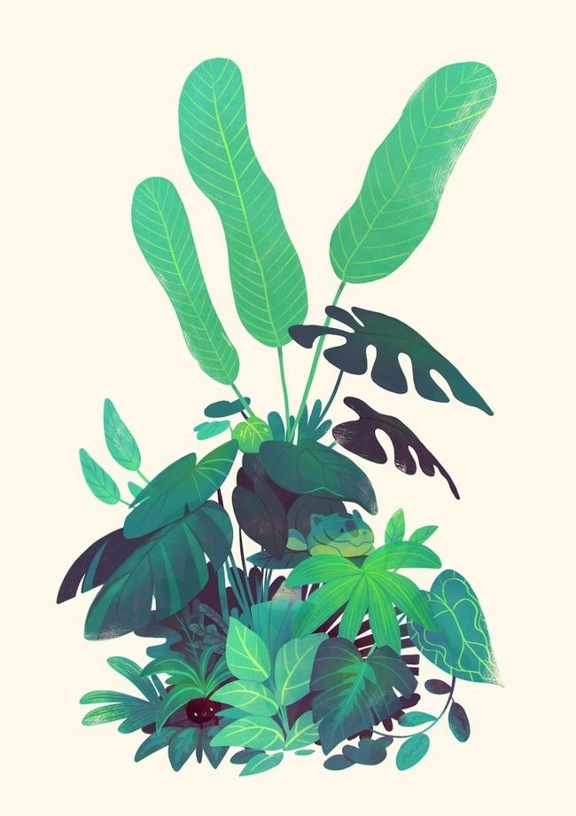 12 plants Illustration ink ideas