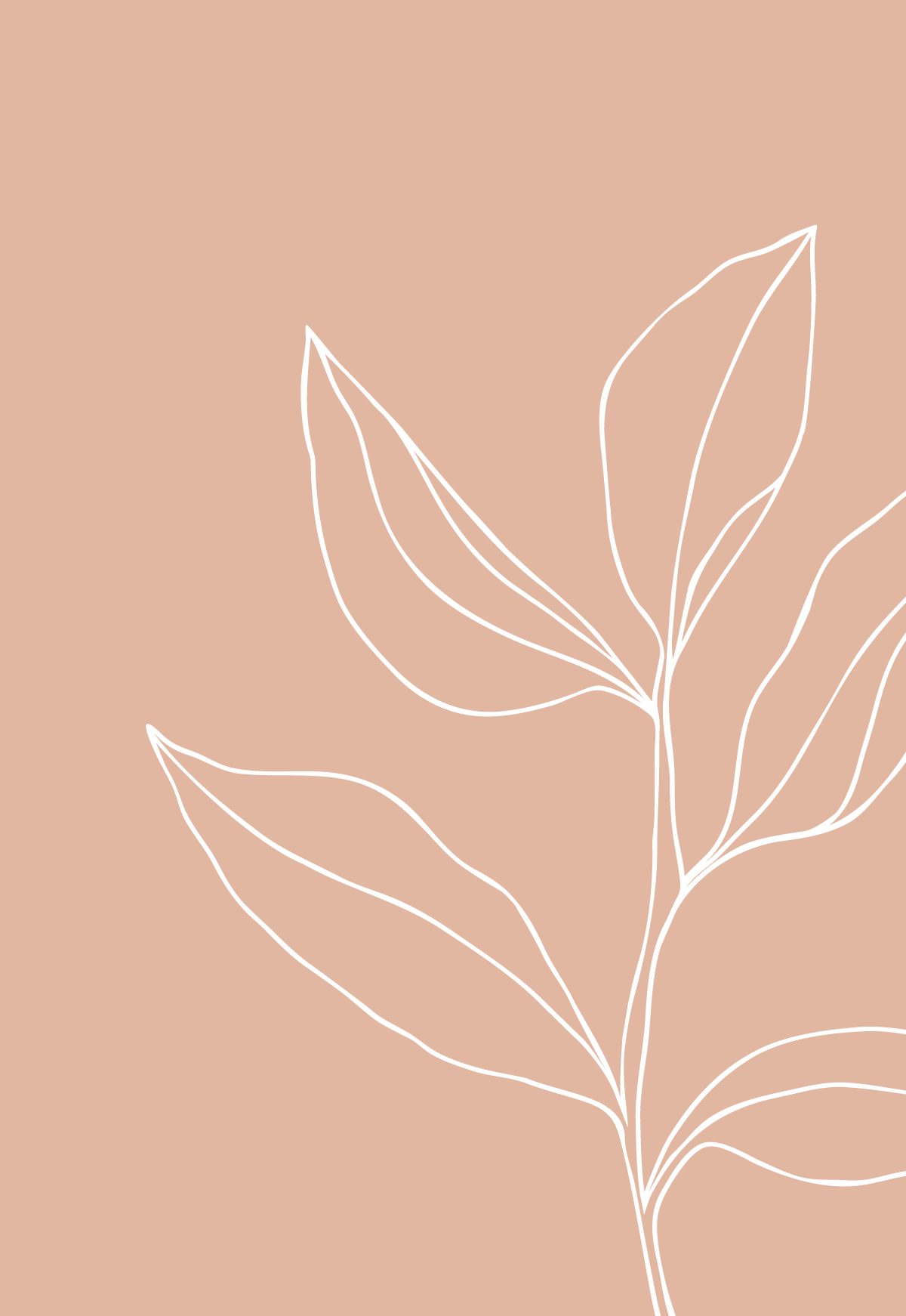 Leaf Illustration -   12 plants Illustration pattern ideas