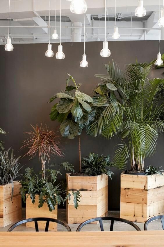 30+ Beautiful Indoor Plants Design in Your Interior Home -   13 office planting ideas