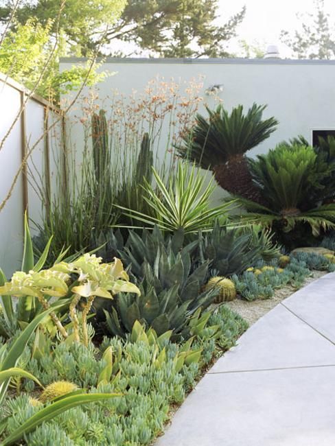 13 planting Landscaping texture ideas