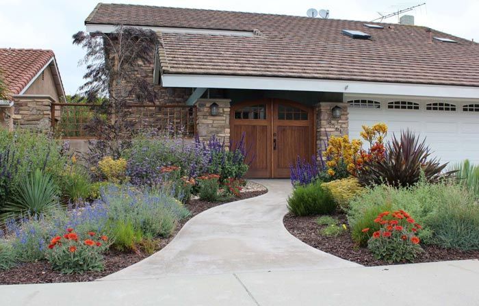 CA Friendly Gardening Solutions -   13 planting Landscaping texture ideas