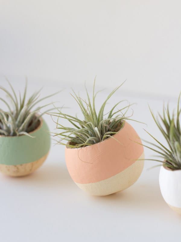 DIY Painted Air Plant Bell Cups -   13 plants Decor cups ideas