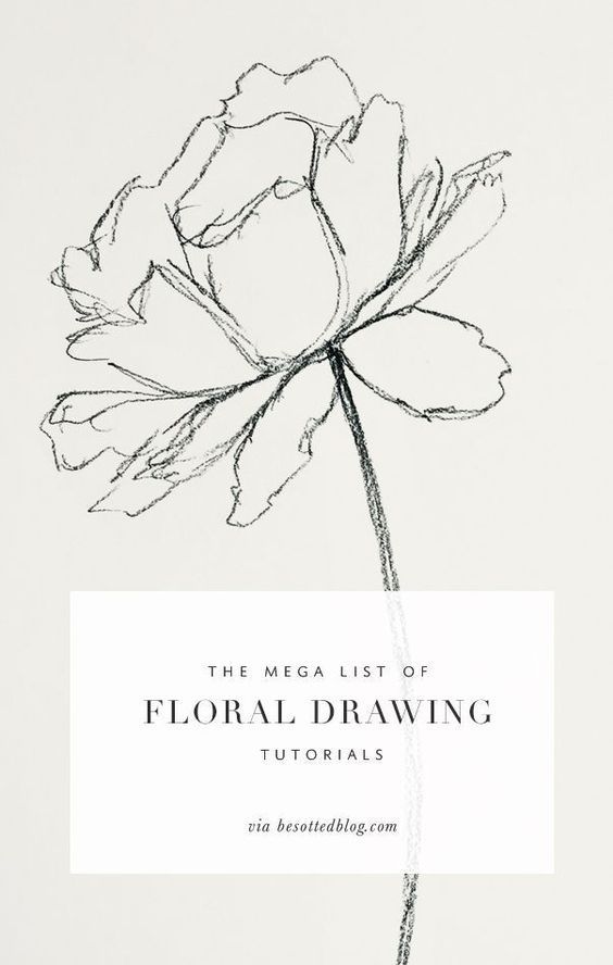 The mega list of floral drawing tutorials -   13 plants Drawing link ideas