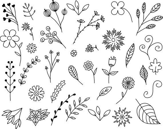 35 Floral Doodles Vector Pack, Hand Drawn Doodle Clipart ,Leaves and Flowers, Sketch, Drawing, Vecto -   13 plants Drawing link ideas