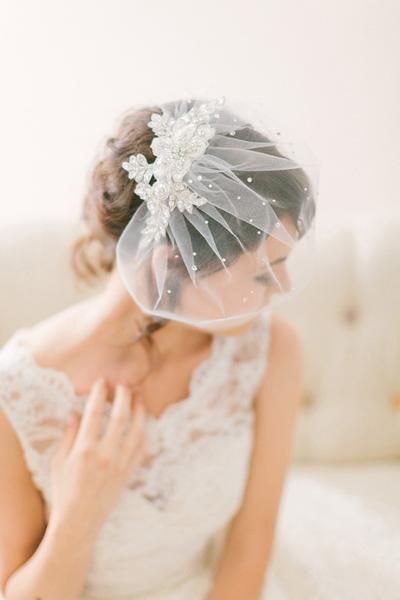 Crystal Lace Birdcage Veil #718 -   13 wedding Veils birdcage ideas