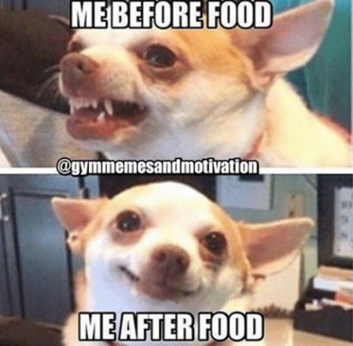 35 Wittiest Food Memes That are Totally Relatable -   14 diet Humor memes ideas