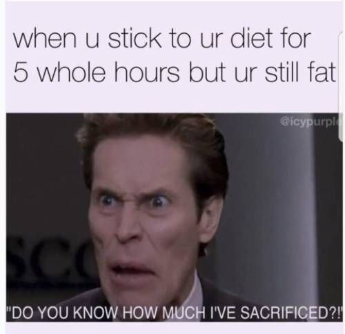 14 diet Humor memes ideas
