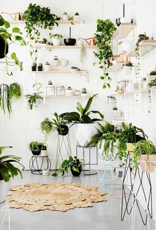 14 plants House concept ideas