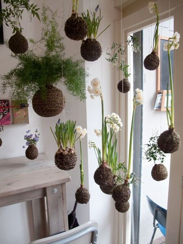 20 Beautiful Kokedama String Garden Ideas -   14 plants House concept ideas