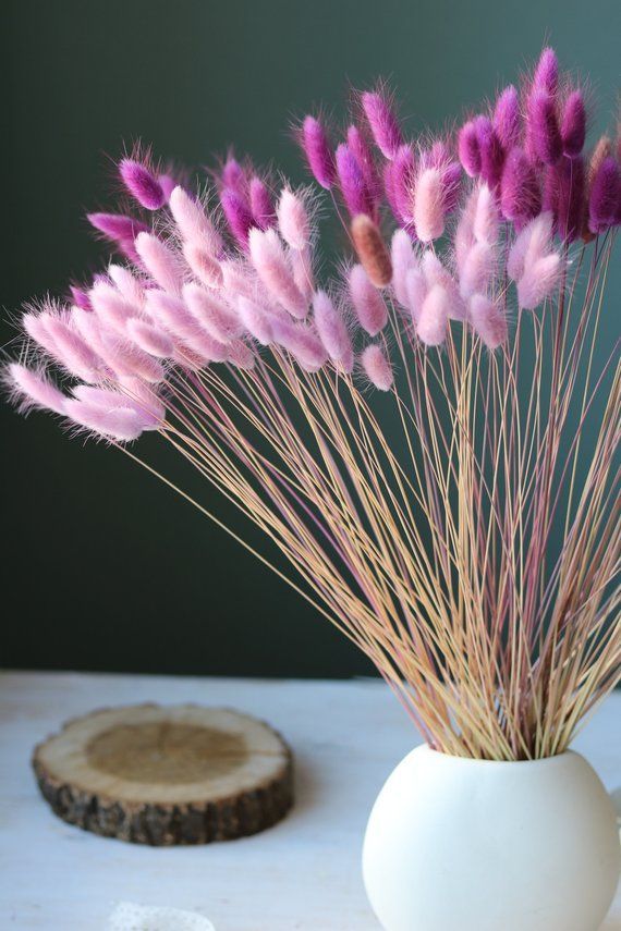 Dried Lagurus, Dried flowers, Natural dried bunch, Natural dried plant, Dried Bunny Tails Grass,Pink flowers, Dried filler, easter decor -   15 dried plants Art ideas