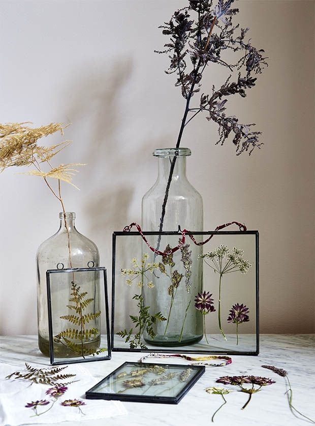 How to make pressed flowers -   15 dried plants Art ideas