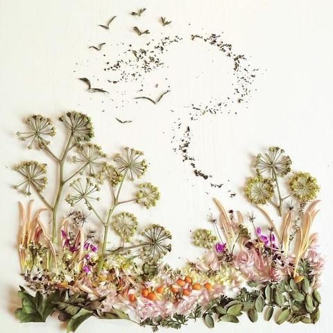 Meadow -   15 dried plants Art ideas