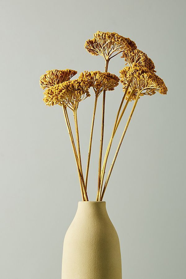 Dried Yarrow Bouquet -   15 dried plants Art ideas