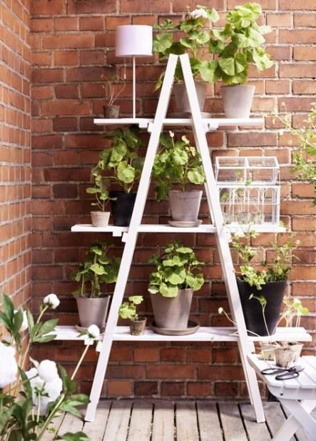 61 Super Ideas For Apartment Plants Balcony Yards -   15 plants Balcony house ideas