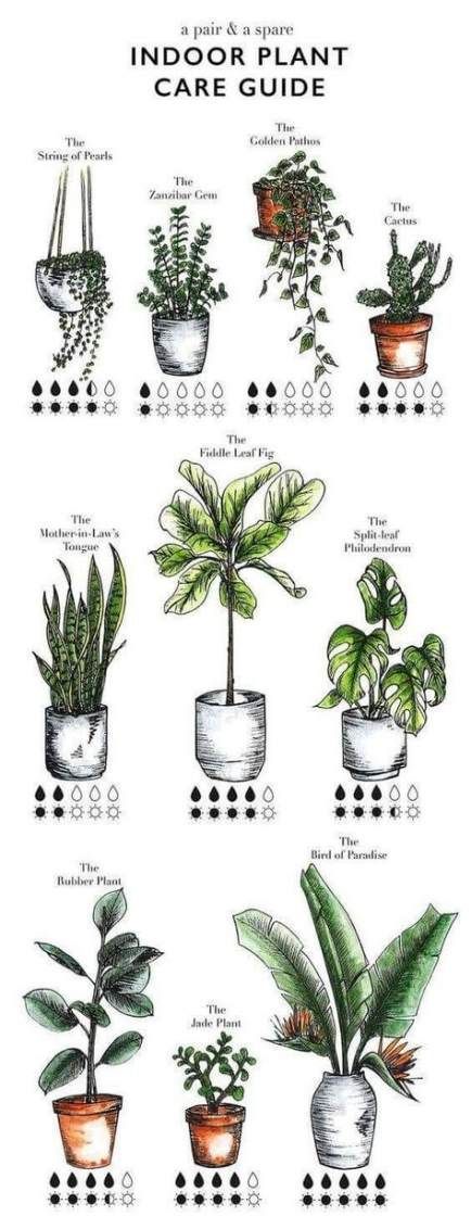 15 plants Balcony house ideas