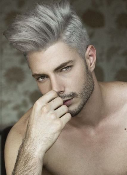 19+ Trendy Hair Silver Men Character Inspiration -   15 silver hair Men ideas