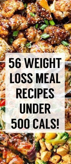 56 Unbelievably Delicious Weight Loss Dinner Recipes Under 500 Calories! -   16 diet Meals for women ideas