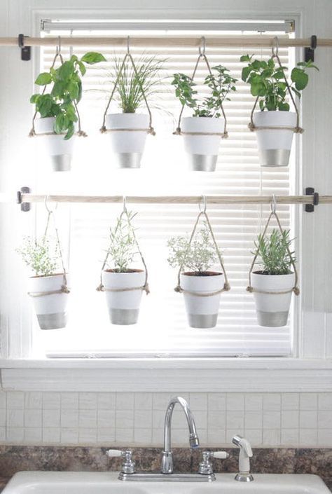 14 Ways to Grow Indoor Herbs Right in Your Kitchen -   16 planting Apartment diy ideas