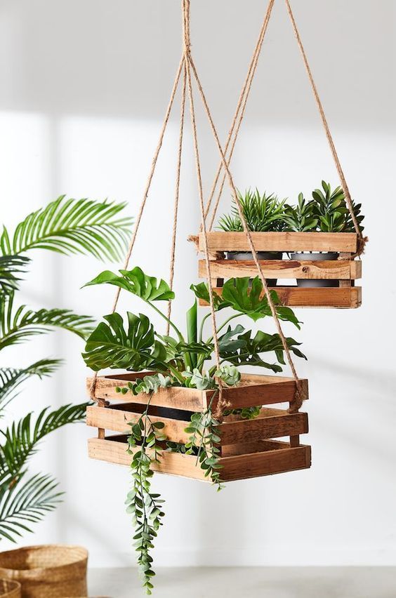40+ beautiful hanging plants ideas for home decor -   16 planting Apartment diy ideas