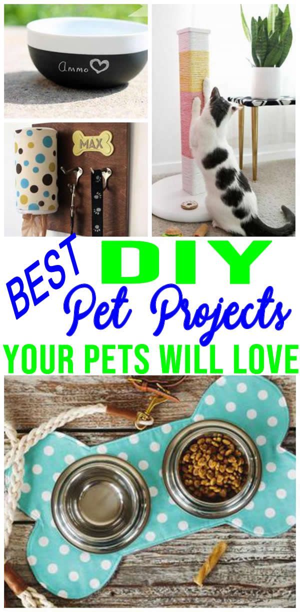 DIY Pet Projects -   17 diy projects For Gifts simple ideas