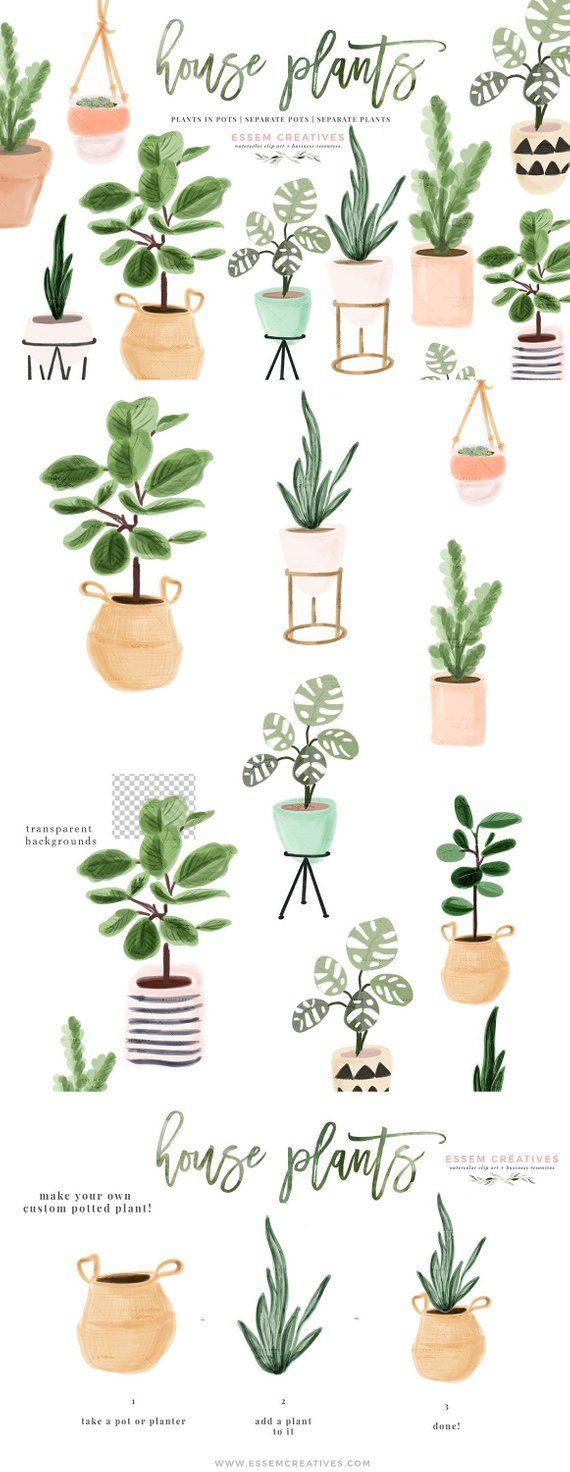 Watercolor House Plants Clip Art, Indoor Plants Potted Plant Clipart, Cactus Succulent, Ceramic Plan -   17 indoor plants Background ideas