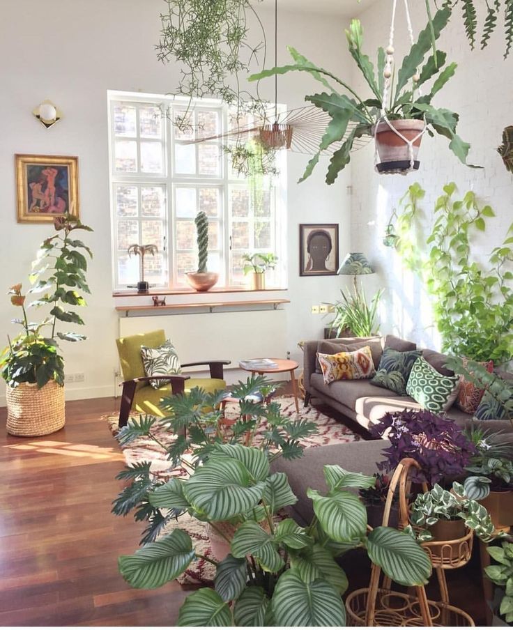40 Indoor Plants Decor Ideas For Small Apartement -   17 indoor plants Background ideas