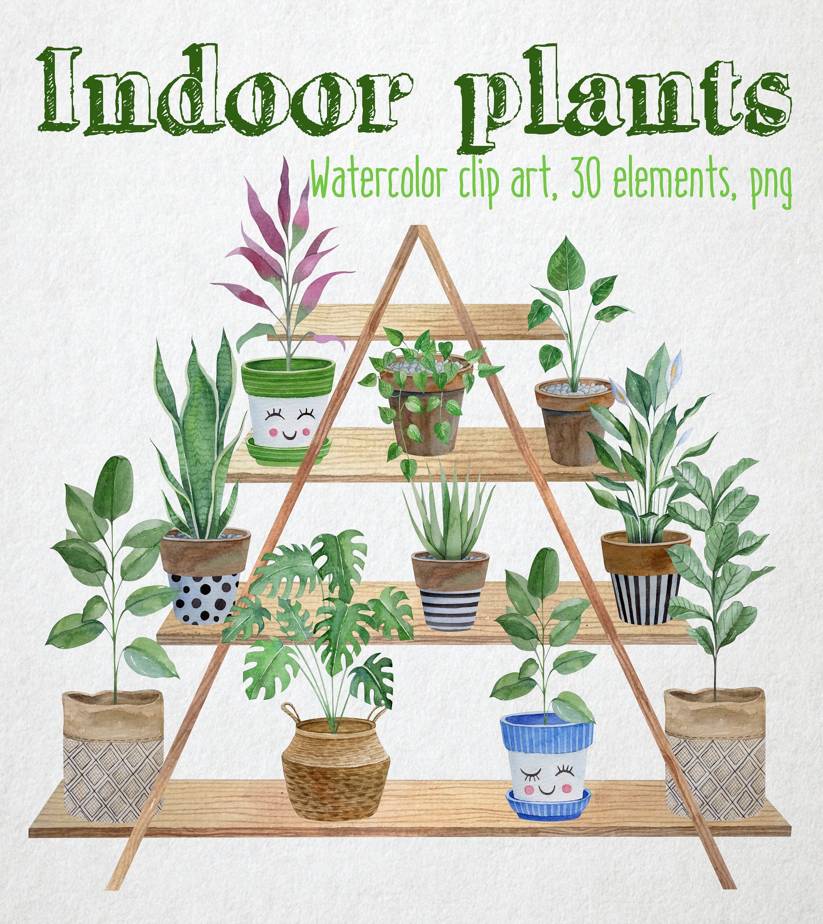 Indoor Plants watercolor clipart. Potted plants illustration. Watercolor house plants in ceramic pots -   17 indoor plants Background ideas
