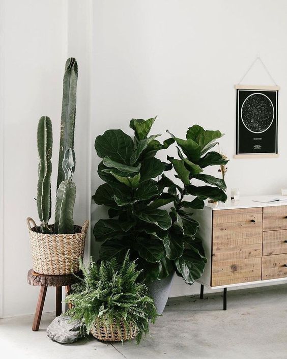 58 DIY Plant Stand ideas to Fill Your Living Room With Greenery -   17 plants Stand inspiration ideas