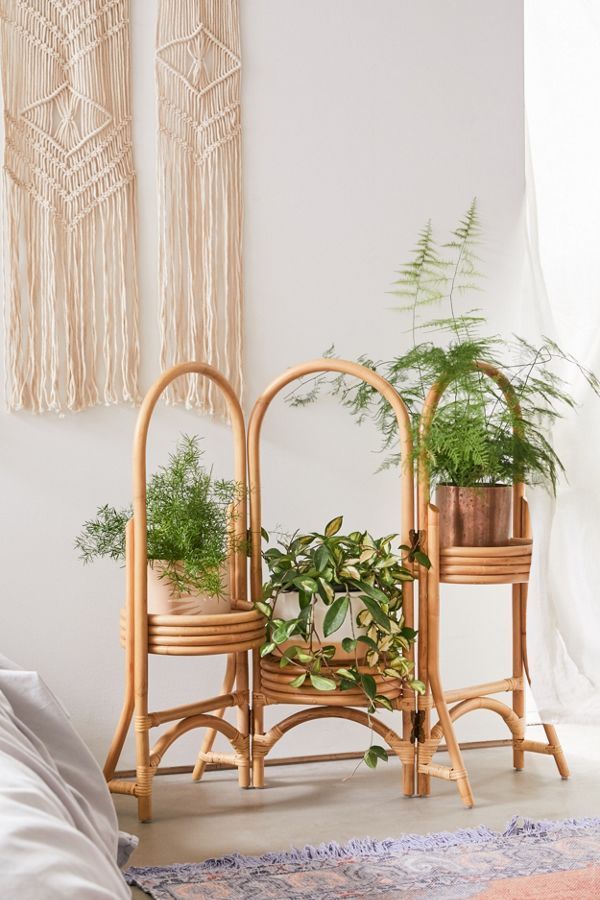 Rattan Plant Stand -   17 plants Stand inspiration ideas