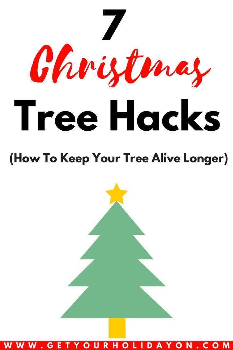 7 Christmas Hacks To Help Keep Your Tree Alive -   18 holiday Hacks to get ideas