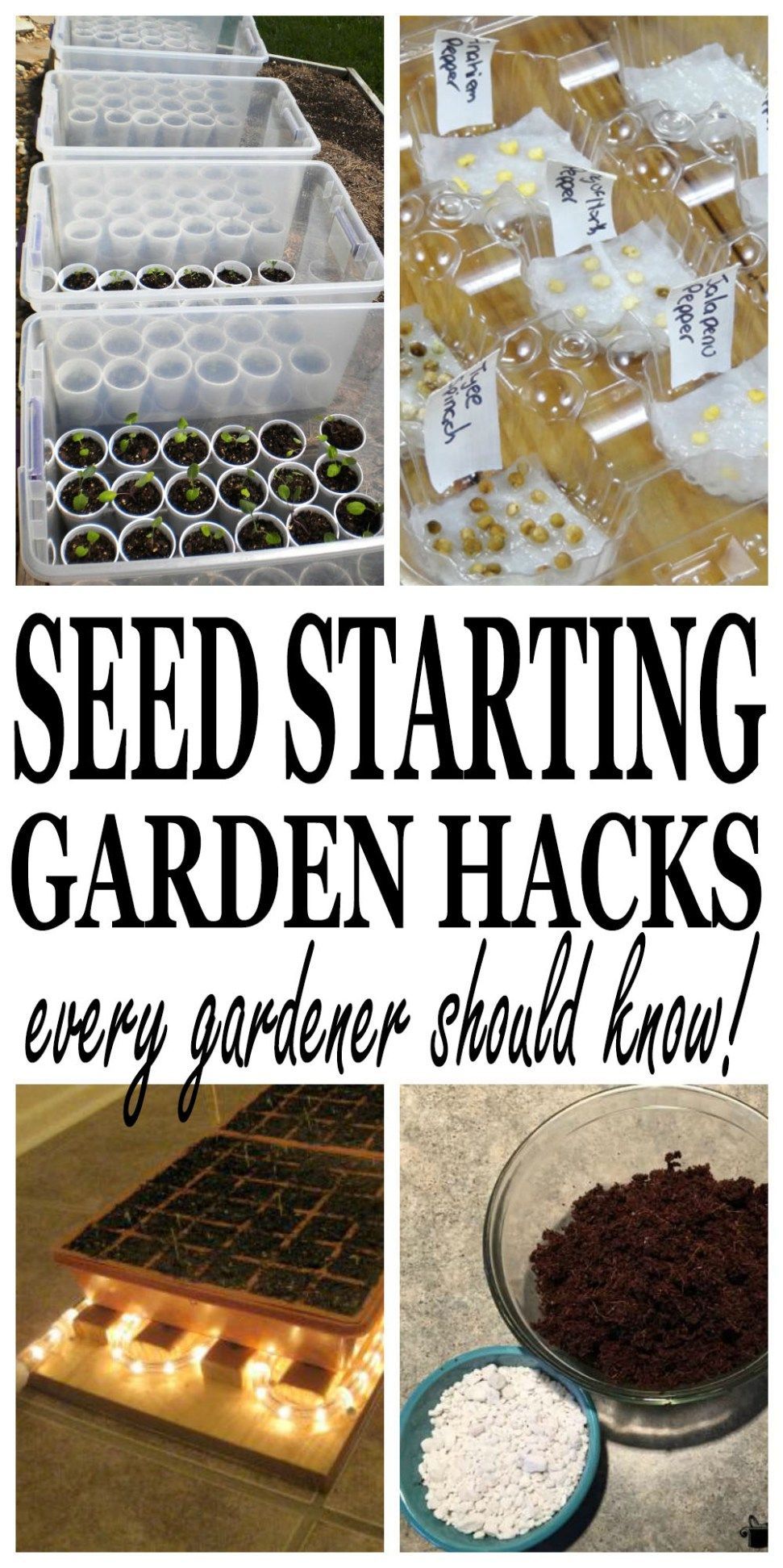 Seed Starting Hacks Every Gardener Should Know -   18 plants Growing watches ideas