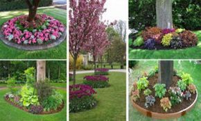 18 Genius Flower Beds Around Trees You Need To See -   20 plants Flowers around trees ideas