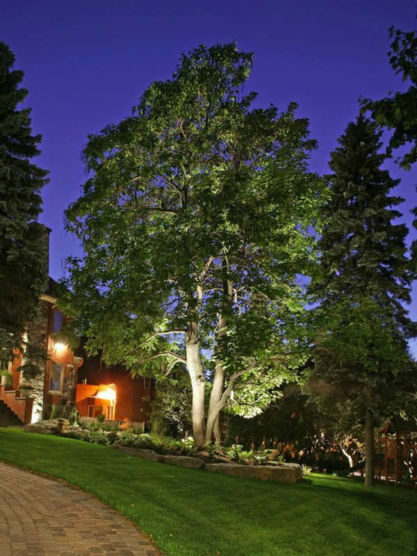 The Dos and Don'ts for Landscaping Around Trees -   20 plants Flowers around trees ideas