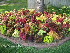 Gardening Tips and Ideas for Planting Flowers Around Trees -   20 plants Flowers around trees ideas