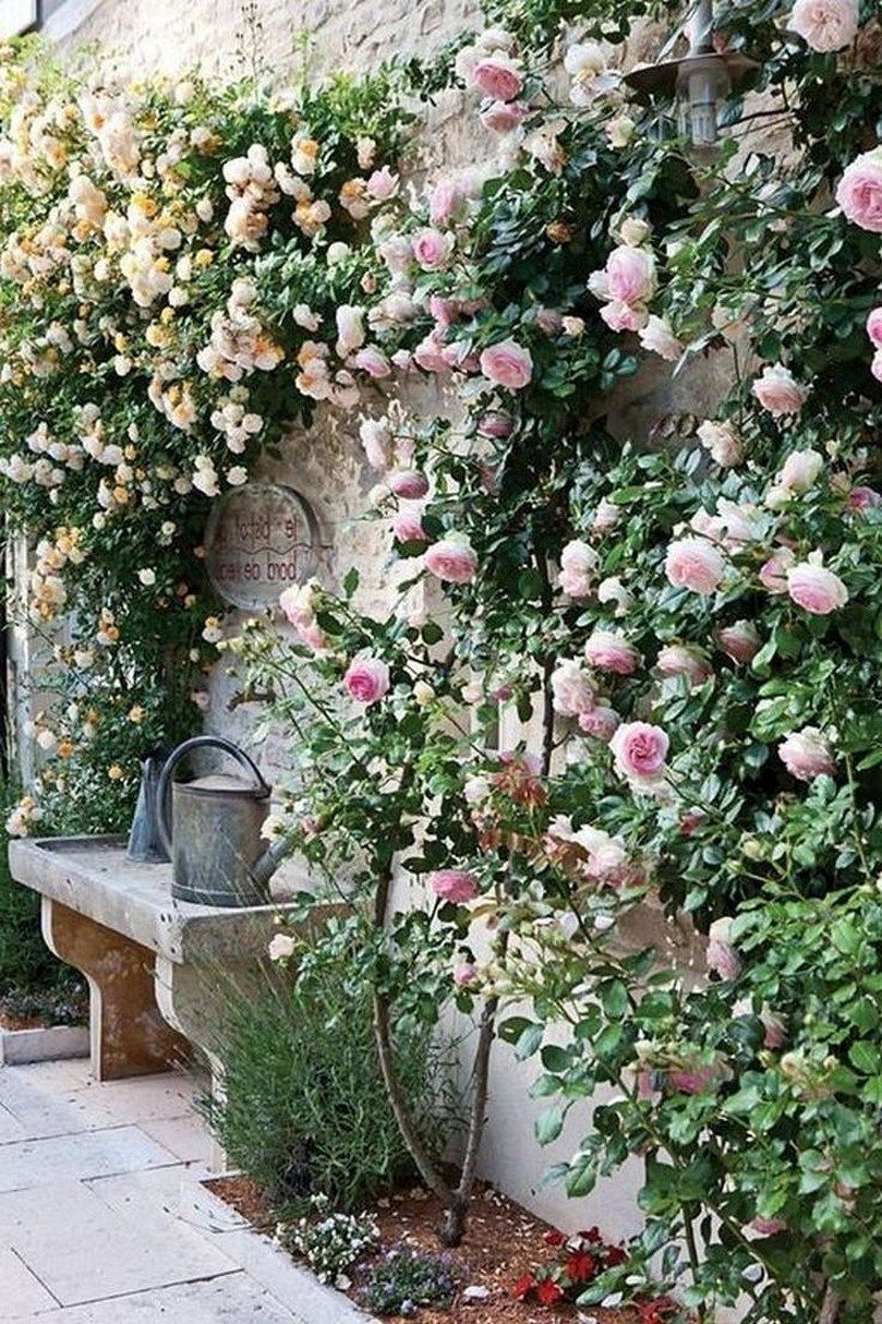 21 garden design Wall awesome ideas