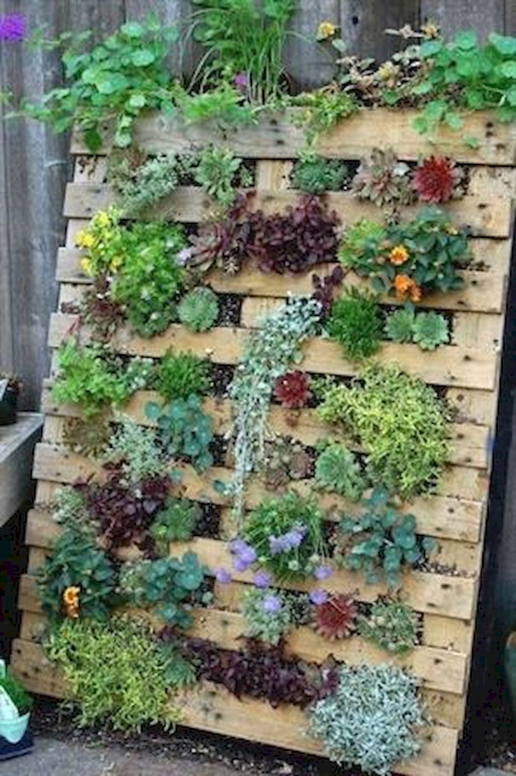 21 garden design Wall awesome ideas