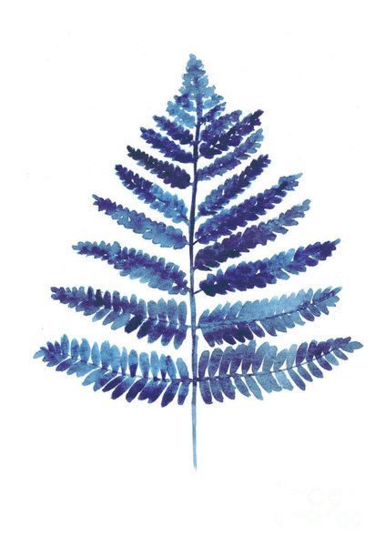 Blue Fern Watercolor Art Print Painting Art Print -   11 fern plants Painting ideas