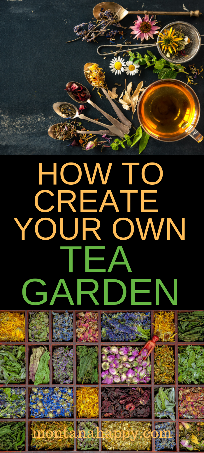 How to Create Your Own Tea Garden -   11 garden design Herb plants ideas