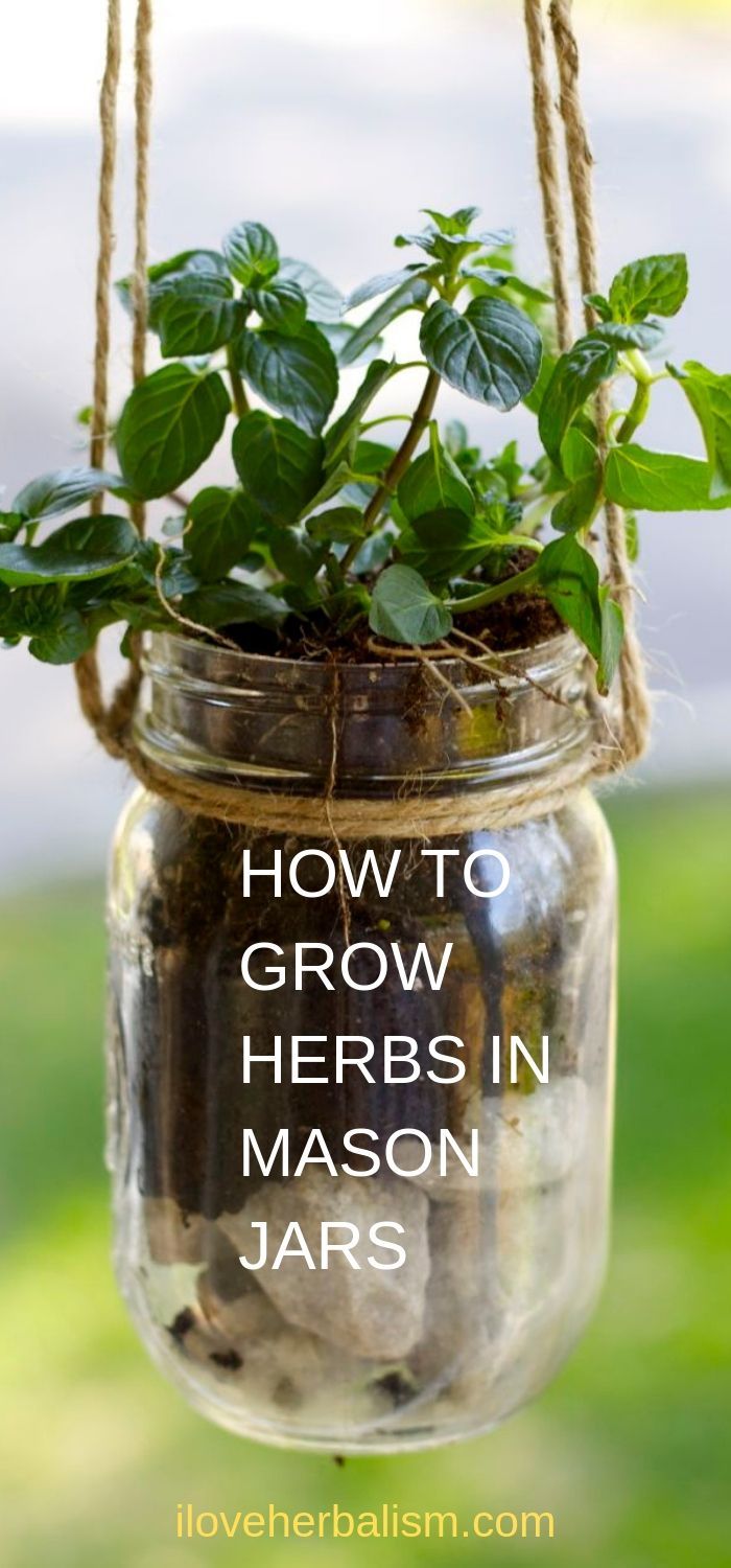 Let's Grow Herbs In Mason Jars -   11 garden design Herb plants ideas