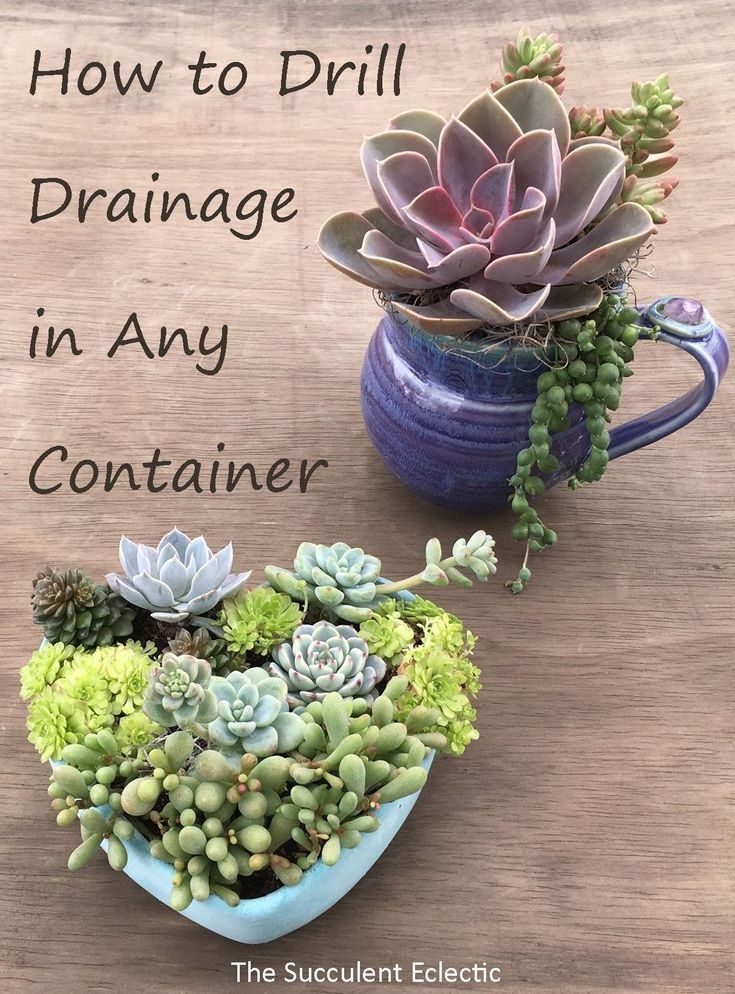 Planting Succulents in Containers Without Drainage? Drill Your Own -   11 planting Decoration succulents ideas