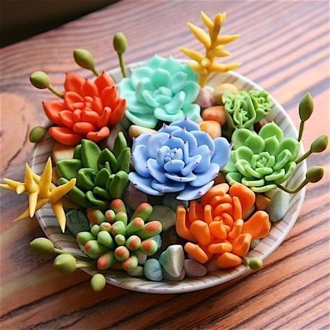 23 Types of Succulents & How to Care It for Beginners -   11 planting Decoration succulents ideas