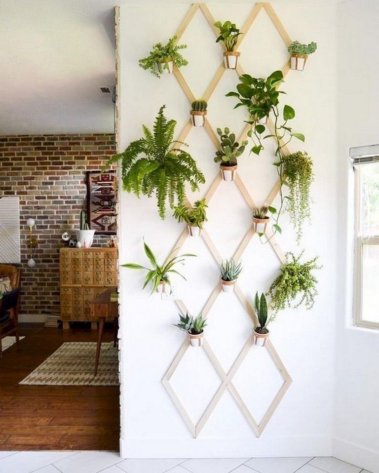 25 Good DIY Small Apartment Decorating Ideas on a Budget -   11 plants Decor budget ideas