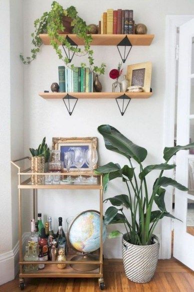 40 Stunning Indoor Plants Decor Ideas For Your Apartment -   11 plants Decor budget ideas