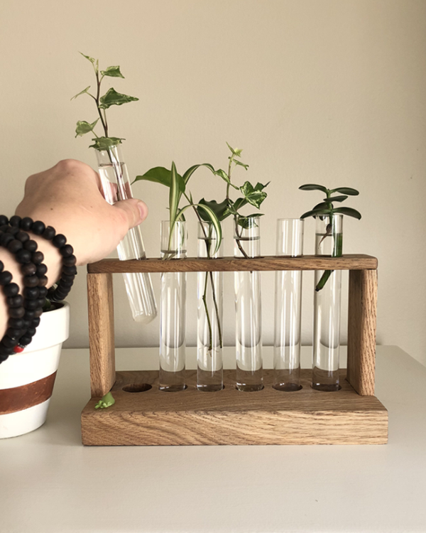 Propagation Station with Glass Test Tubes Included -   13 planting House glass ideas