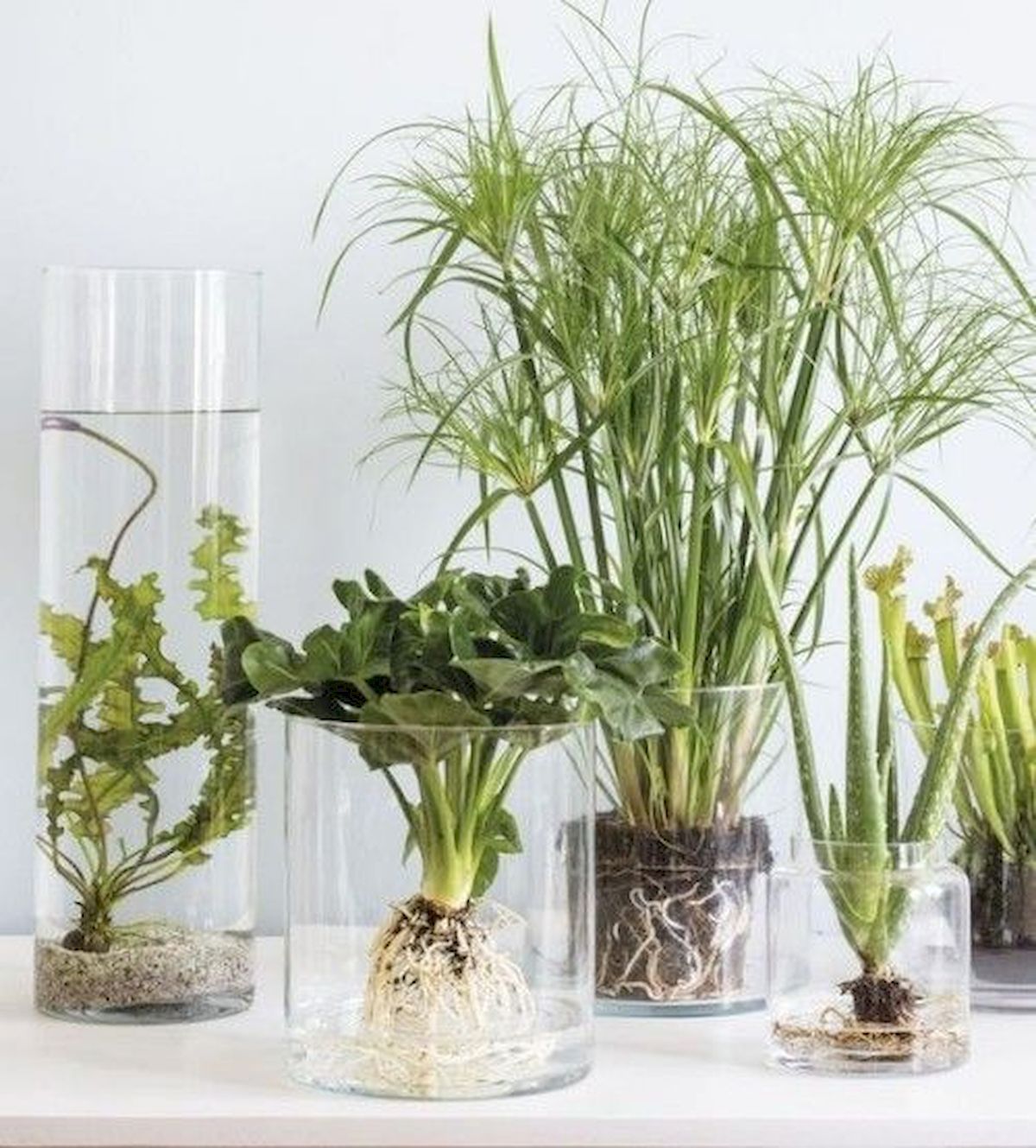 13 planting House glass ideas