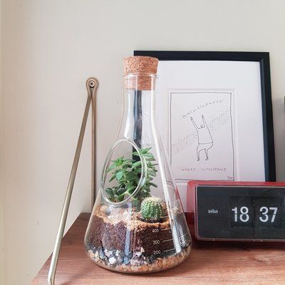 suck UK Chemistry Glass Terrarium -   13 planting House glass ideas