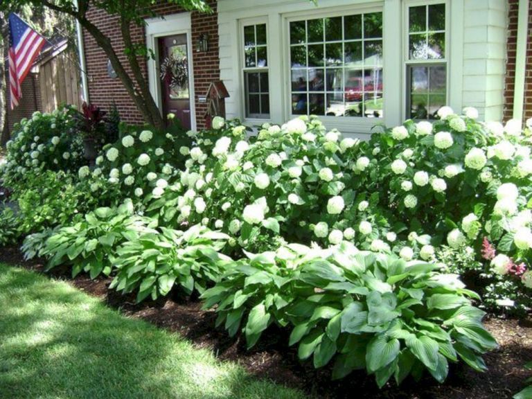 63 Simple And Beautiful Front Yard Landscaping On A Budget 35 -   13 plants Beautiful front yards ideas